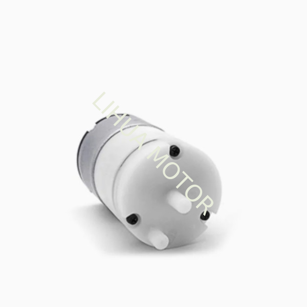 2mm Double Shaft Motor 3V RK-520TC-3190 4000Rpm Motor CCW For Mini Pressure Pump