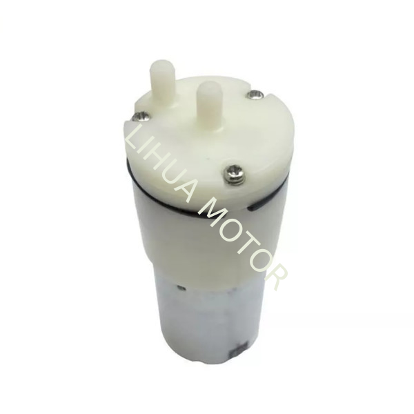 12V 24V 6000 Rpm DC Motor Mini High Speed 24mm DC Motor For Miniature Diaphragm Pumps
