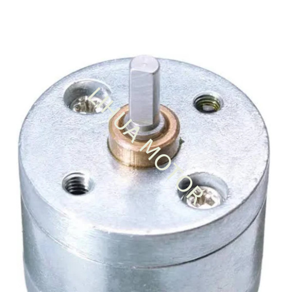 25mm Gear Motor 12 Volt 600 Rpm High Torque Electric Geared Motor With Gear Reduction