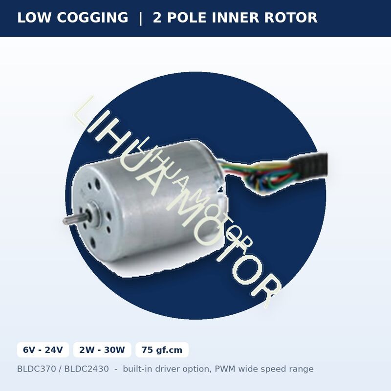 BLDC370 BLDC2430 6V 24V Brushless DC Motor 24.4mm 2 Pole Low Cogging 75 gf.cm with Built-In Driver